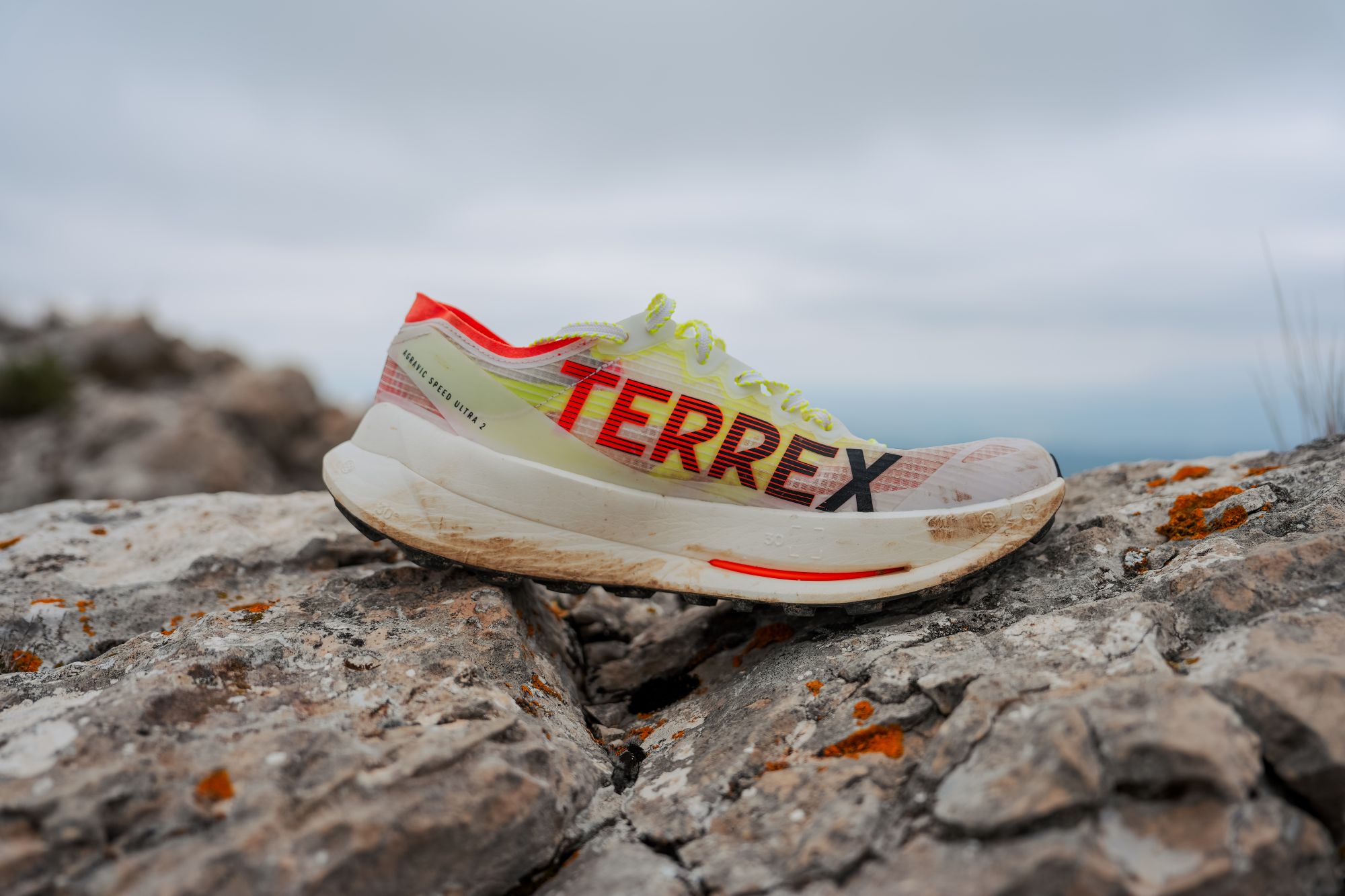 Adidas Terrex Agravic Speed Ultra 2 profile view